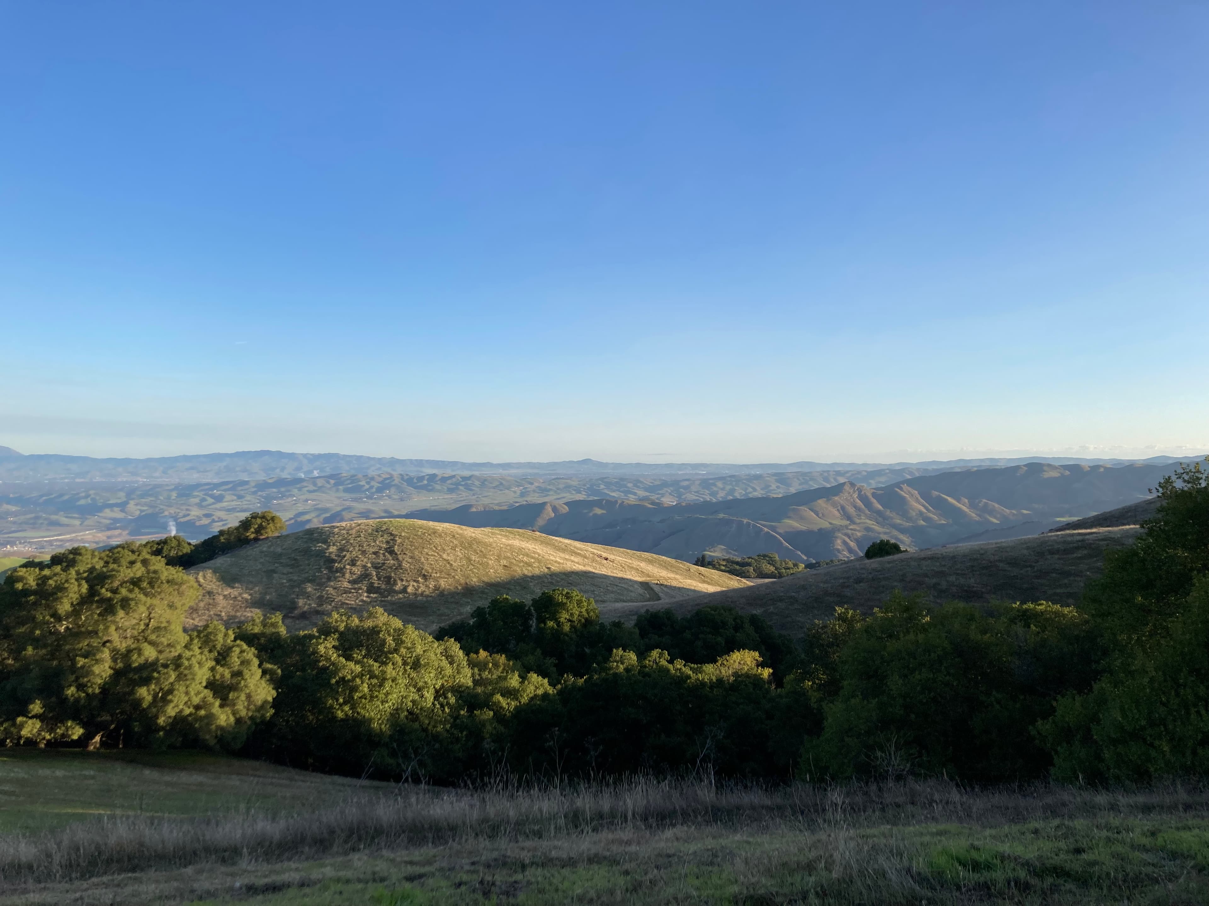 A panoramic view of a large city on a bay.